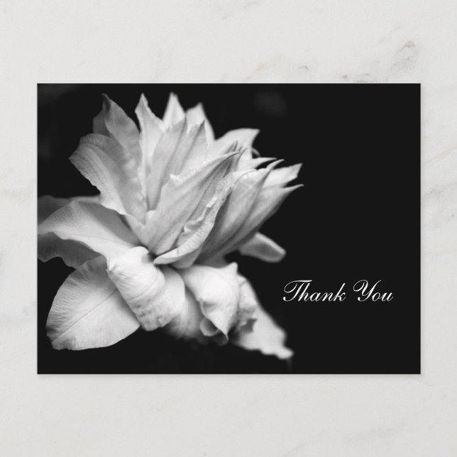 Clematis 1c Memorial Sympathy Thank You Postcard (Front)