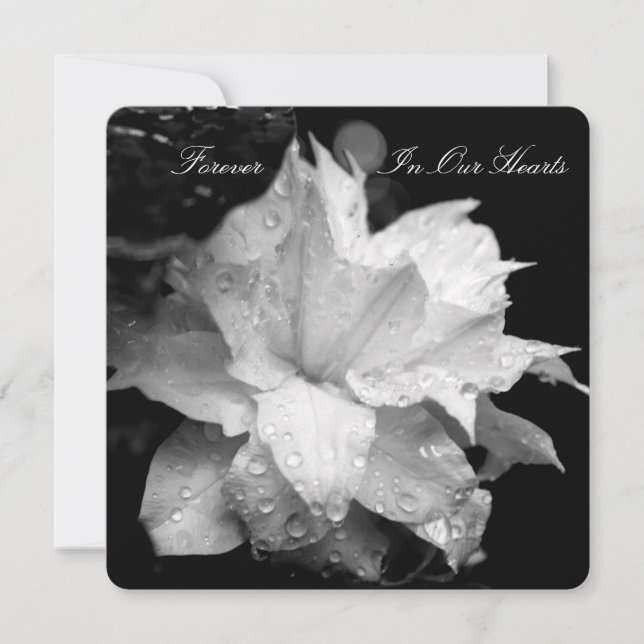 Clematis 2b Dewdrops Funeral Memorial Announcement (Front)