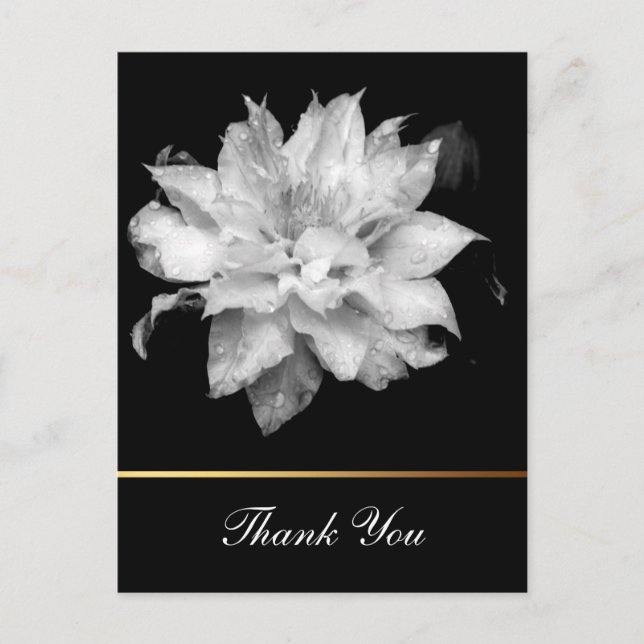 Clematis 3c Floral B&W Photo Sympathy Thank You Postcard (Front)