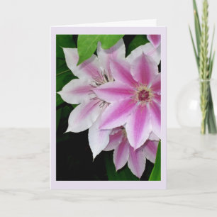 Clematis Birthday Card