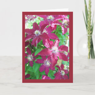 Clematis Blank Note Card
