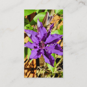 CLEMATIS BUSINESS CARD