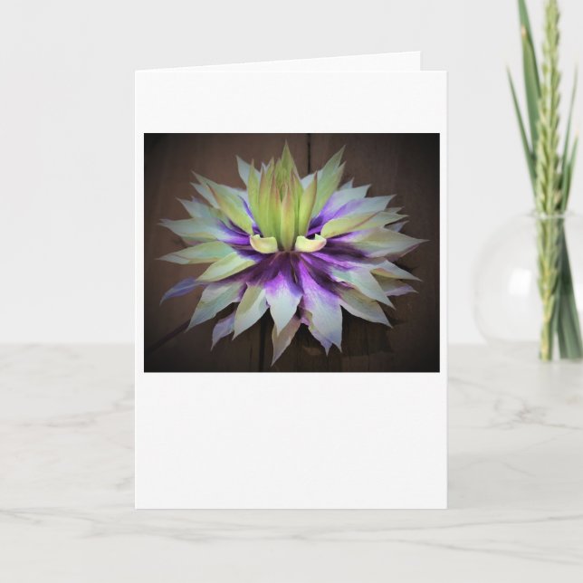 Clematis, card (Front)