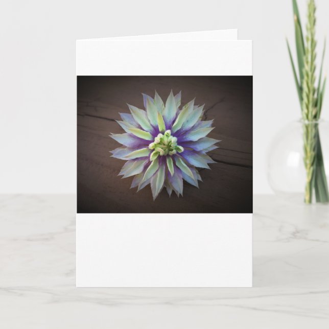 Clematis, card (Front)