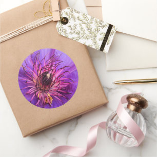 CLEMATIS CLASSIC ROUND STICKER