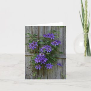 Clematis climbing on the fence thank you card