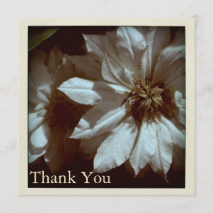 Clematis Floral Photography Thank You S Flat Card