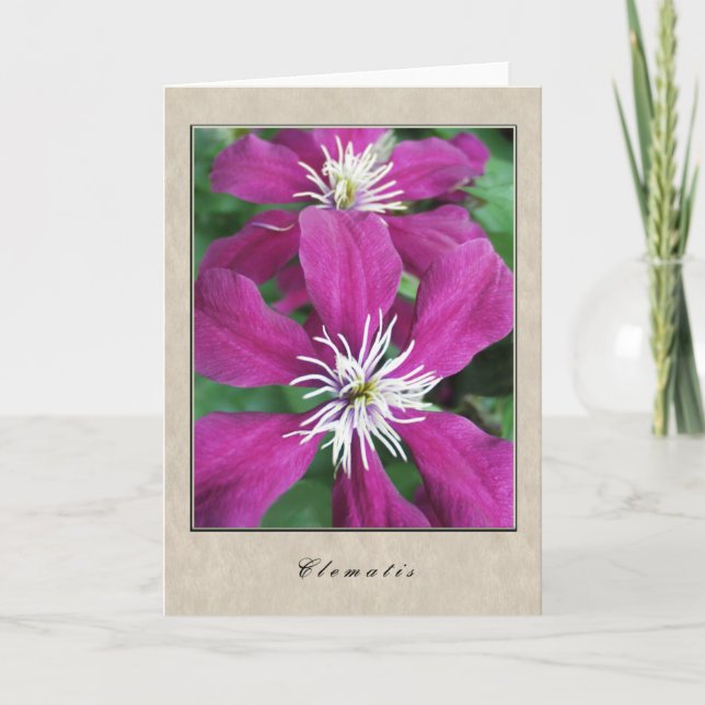 Clematis - Floral Series Card (Front)