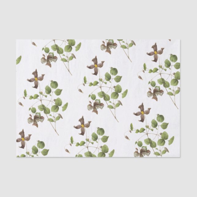 Clematis Flower Pattern Tissue Paper (Front)