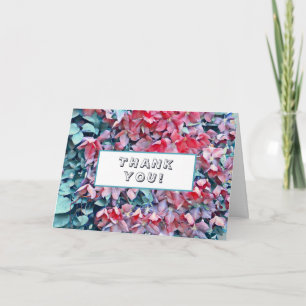 Clematis Flowers Announcement