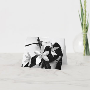 Clematis in Monochrome Notecard