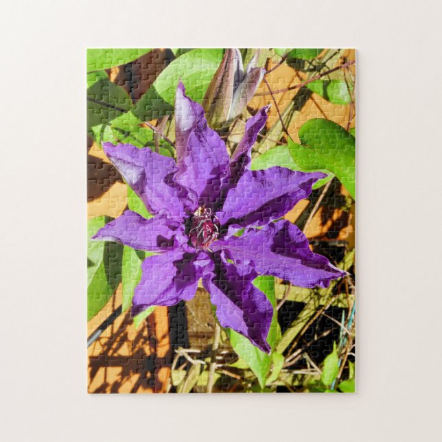 CLEMATIS JIGSAW PUZZLE (Vertical)
