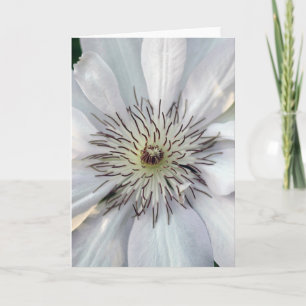 Clematis Nature Photography Blank Card
