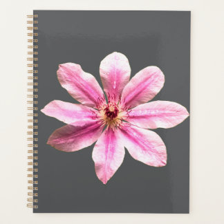 Clematis Nelly Moser Planner