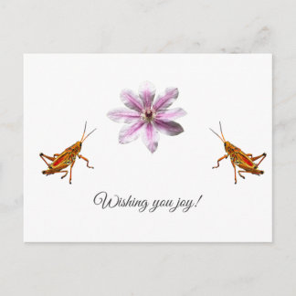 Clematis Nelly Moser. Wishing you joy! Holiday Postcard