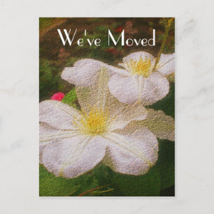 Clematis New Address Floral Art Announcement Postcard