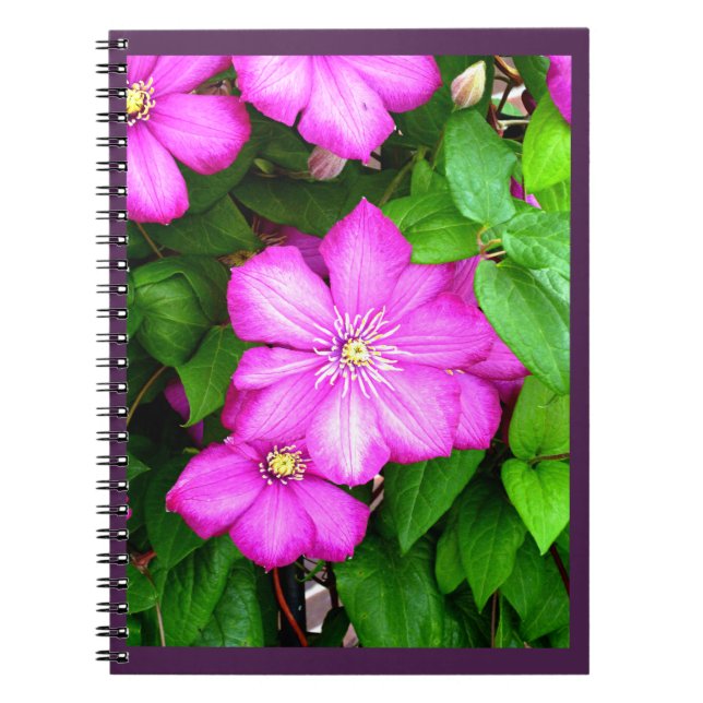 Clematis Notebook (Front)