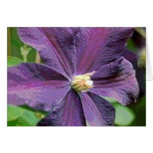 Clematis Purple Flower Card