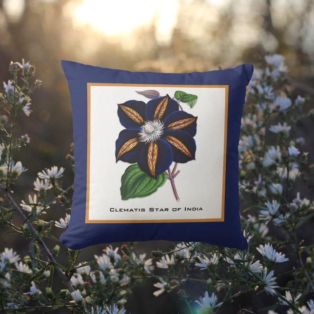 Clematis Star of India Botanical Illustration Cushion (Creator Uploaded)