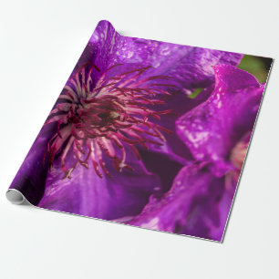 Clematis The President Wrapping Paper