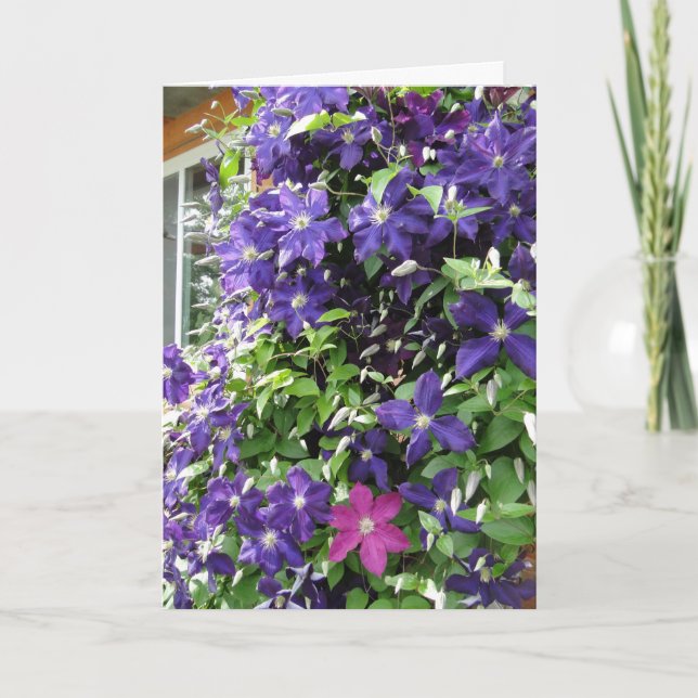 Clematis Vine, Inspirational Card (Front)