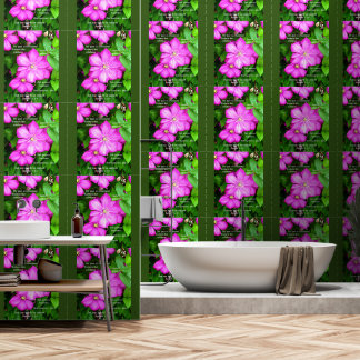 Clematis with Romans 5:3-5 Wallpaper