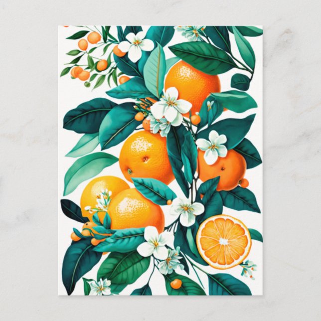 Clementine Mandarine Holiday Postcard (Front)