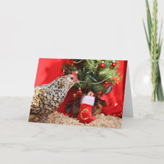 Clementine's Christmas Wish Holiday Card