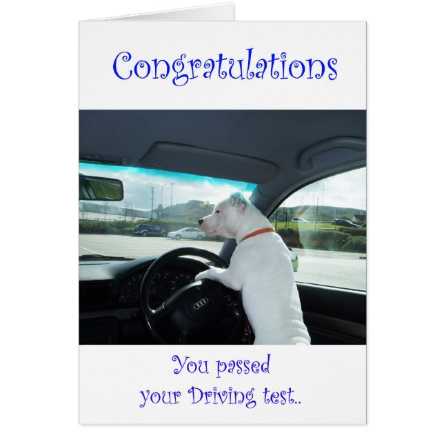 Cleo Passed Driving Test (Front)