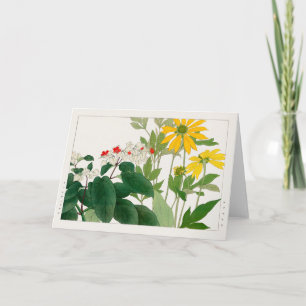 Clerodendrum thomsoniae, Rudbeckia, Tanigami Konan Card