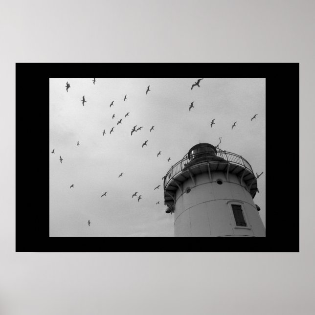 Cleveland lighthouse and gulls bw print (Front)