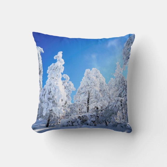 Cleveland National Forest Cushion (Front)