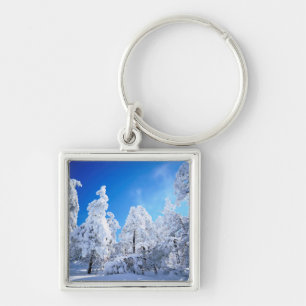 Cleveland National Forest Key Ring