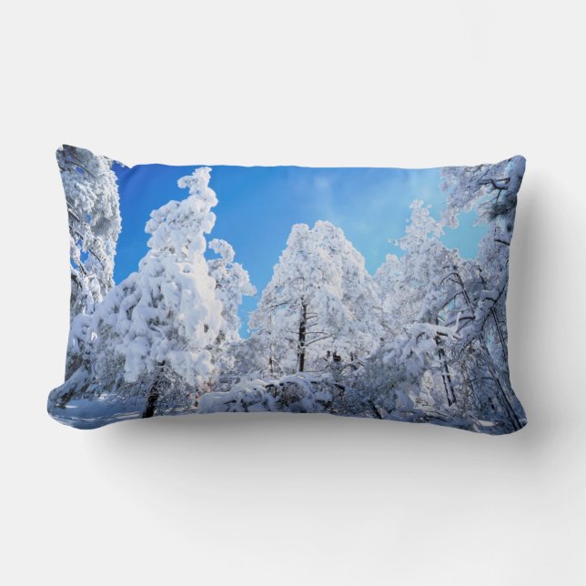 Cleveland National Forest Lumbar Cushion (Front)