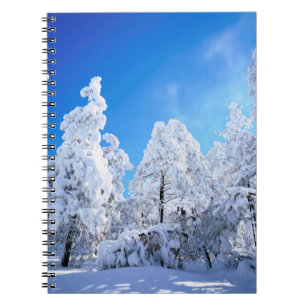 Cleveland National Forest Notebook