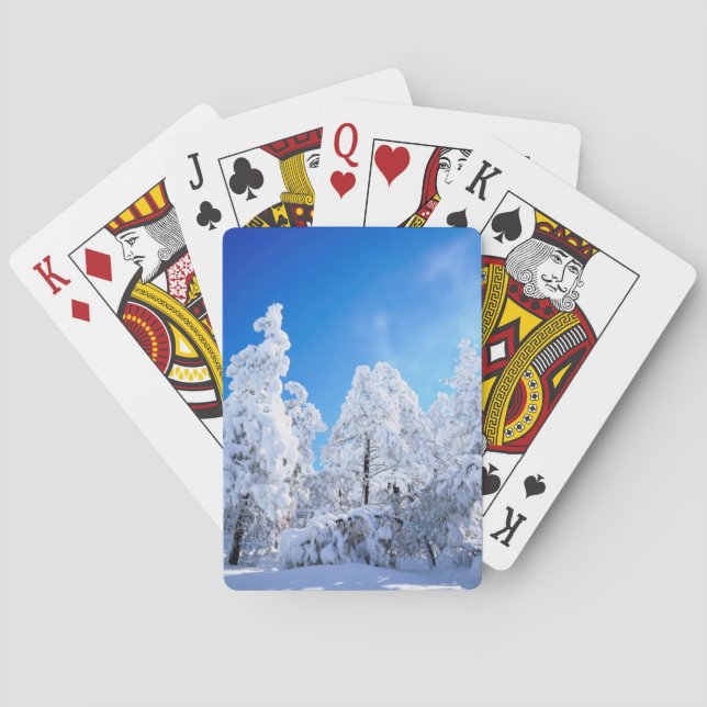 Cleveland National Forest Playing Cards (Back)