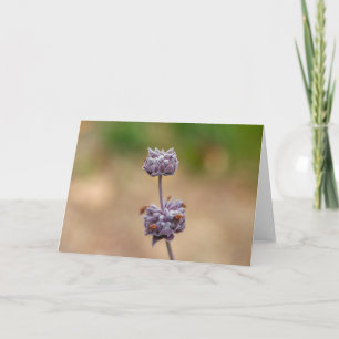Cleveland Sage Card