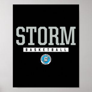 Cleveland Storm Logo Sketll Hs Poster