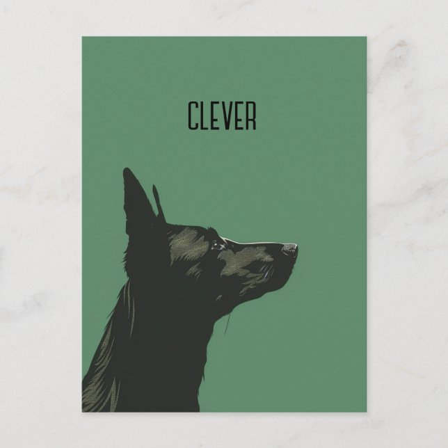 Clever Black German Shepherd Postcard (Front)