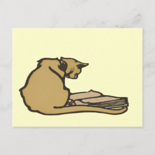 Clever Cat Postcard
