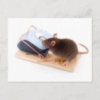 Clever Mouse