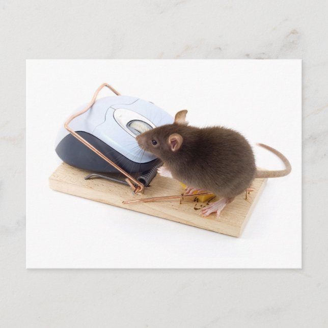 Clever Mouse Postcard (Front)