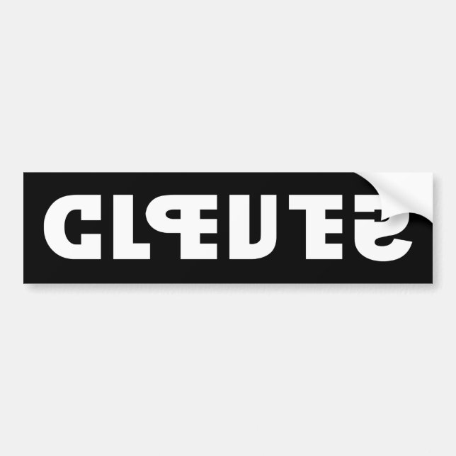 Clever on the Sticker, Stupid in the Mirror Bumper Sticker (Front)