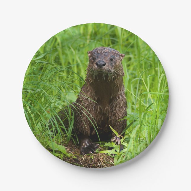 Clever River Otter Paper Plate (Front)