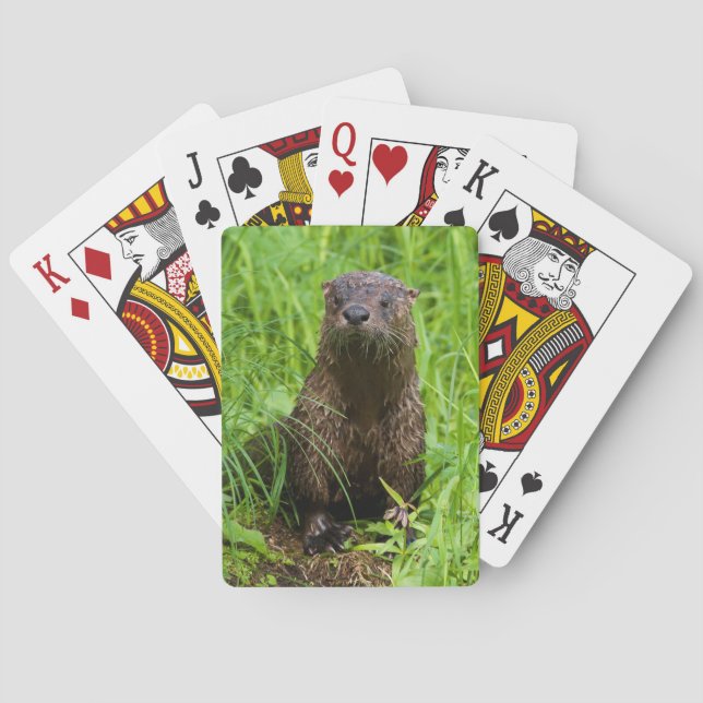 Clever River Otter Playing Cards (Back)