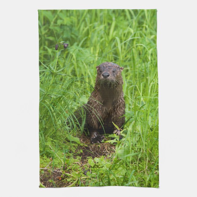 Clever River Otter Tea Towel (Vertical)