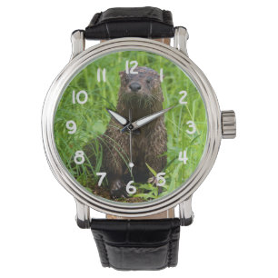 Clever River Otter Watch
