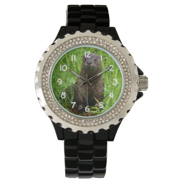 Clever River Otter Watch (Front)