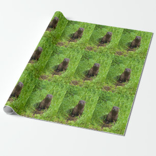Clever River Otter Wrapping Paper
