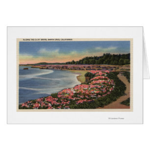 Cliff Drive View of Ocean, Beach, & Flowers